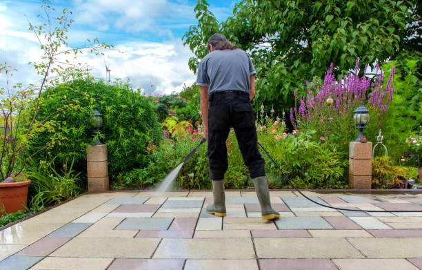 Best Sidewalk and Walkway Cleaning  in Hartford, IL